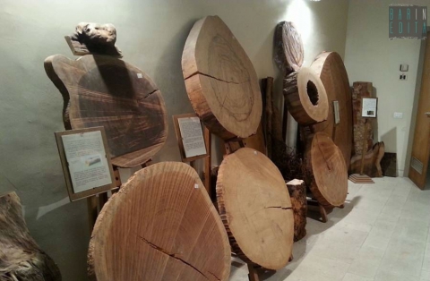 A Molfetta c'� un museo del legno: si tratta dell'unica "siloteca" del Sud Italia